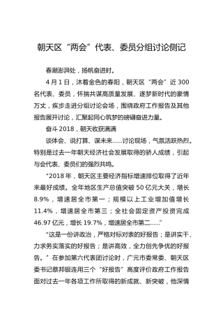 朝天区“两会”代表、委员分组讨论侧记