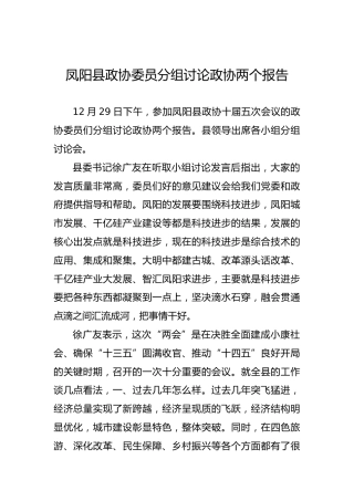 凤阳县政协委员分组讨论政协两个报告