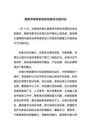莱西市领导参加政协委员分组讨论