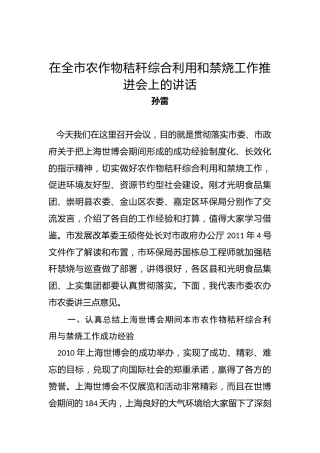 孙雷：在全市农作物秸秆综合利用和禁烧工作推进会上的讲话