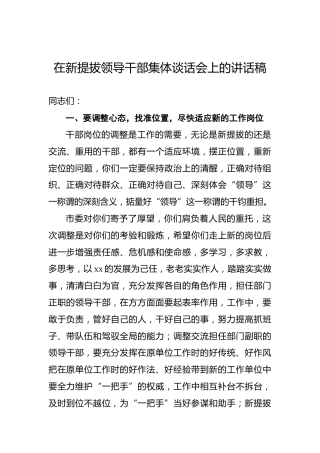 在新提拔领导干部集体谈话会上的讲话稿