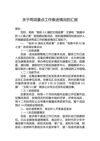 关于两项重点工作推进情况的汇报