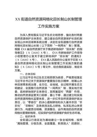 XX街道自然资源网格化田长制山长制管理工作实施方案