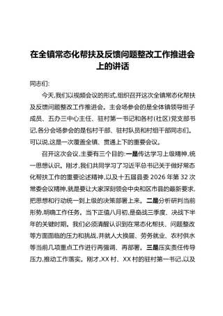 在全镇常态化帮扶及反馈问题整改工作推进会上的讲话