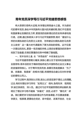 青年党员深学笃行习近平党建思想感悟