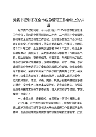在全市应急管理工作会议上的讲话-
