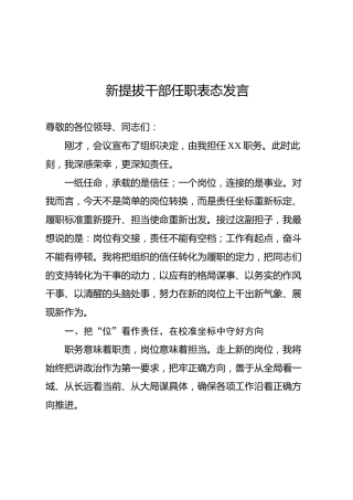 新提拔干部任职表态发言2