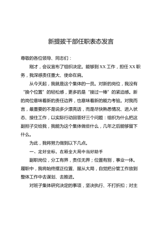 新提拔干部任职表态发言(1)