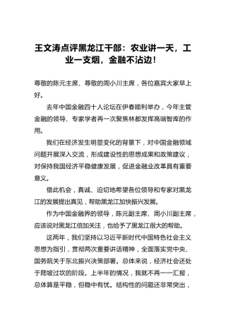 王文涛：点评黑龙江干部：农业讲一天，工业一支烟，金融不沾边！