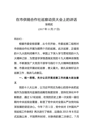 张明武：在市供销合作社巡察动员大会上的讲话
