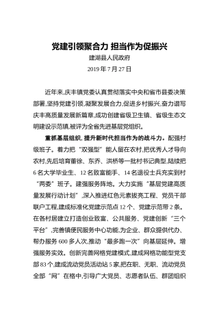 党建引领聚合力担当作为促振兴