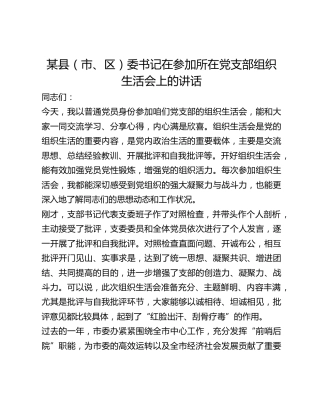 某县（市、区）委书记在参加所在党支部组织生活会上的讲话