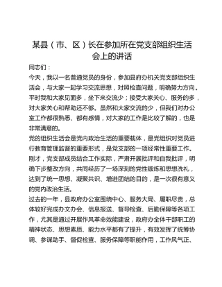 某县（市、区）长在参加所在党支部组织生活会上的讲话