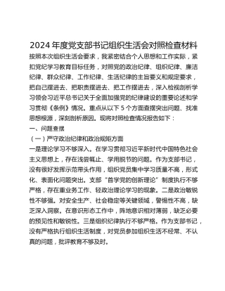 2024年度党支部书记组织生活会对照检查材料