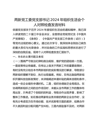 两新党工委党支部书记2024年组织生活会个人对照检查发言材料