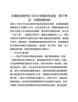 乡镇党支部书记2024年组织生活会“四个带头”对照检查材料