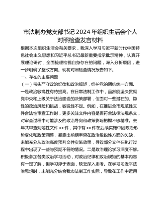 市法制办党支部书记2024年组织生活会个人对照检查发言材料