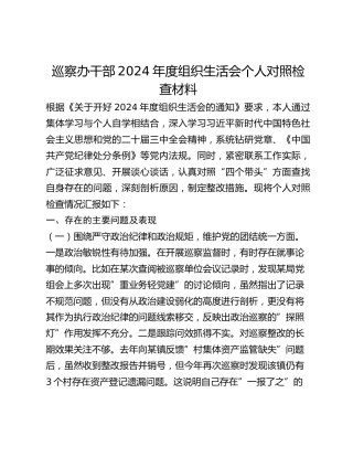 巡察办干部2024年度组织生活会个人对照检查材料