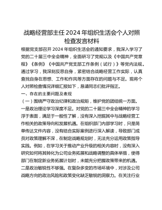战略经营部主任2024年组织生活会个人对照检查发言材料