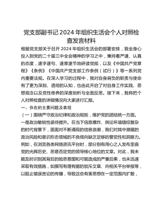 党支部副书记2024年组织生活会个人对照检查发言材料