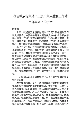 在全镇农村集体“三资”集中整治工作动员部署会上的讲话