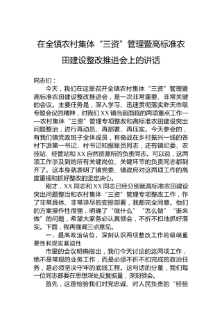 在全镇农村集体“三资”管理暨高标准农田建设整改推进会上的讲话