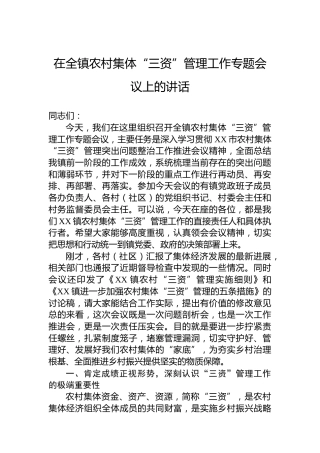 在全镇农村集体“三资”管理工作专题会议上的讲话