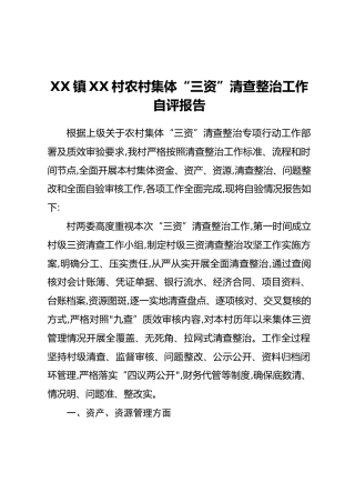 XX镇XX村农村集体“三资”清查整治工作自评报告