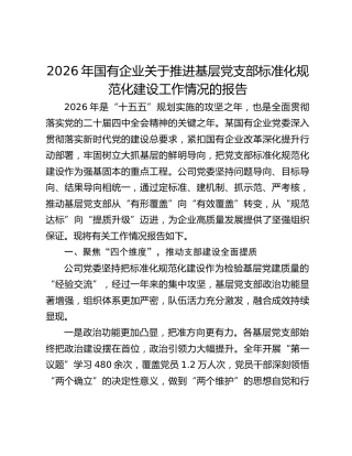 2026年国有企业关于推进基层党支部标准化规范化建设工作情况的报告