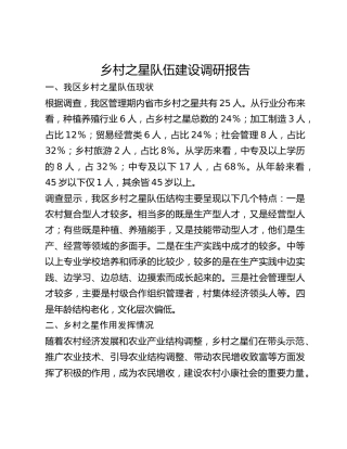 乡村之星队伍建设调研报告