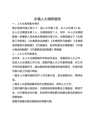 乡镇人大调研报告