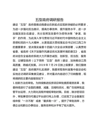 五型政府调研报告