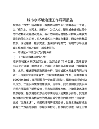 城市水环境治理工作调研报告