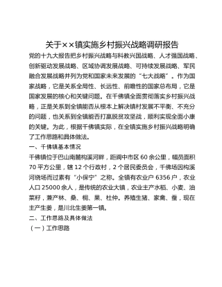 关于__镇实施乡村振兴战略调研报告