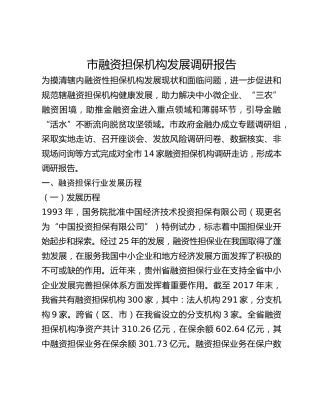 市融资担保机构发展调研报告