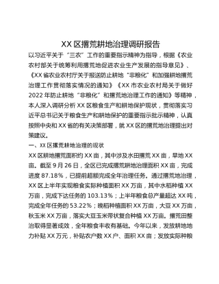 XX区撂荒耕地治理调研报告