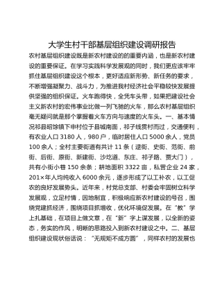 大学生村干部基层组织建设调研报告