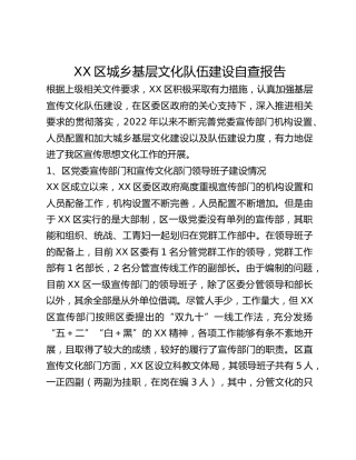XX区城乡基层文化队伍建设自查报告