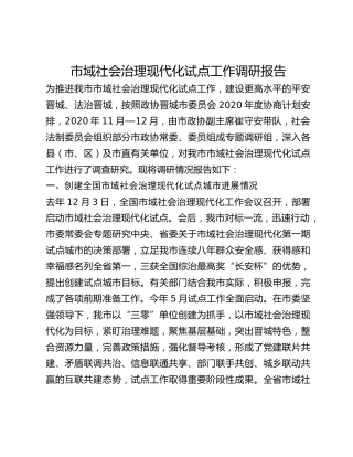 市域社会治理现代化试点工作调研报告