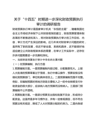 关于“十四五”时期进一步深化财政预算执行审计的调研报告