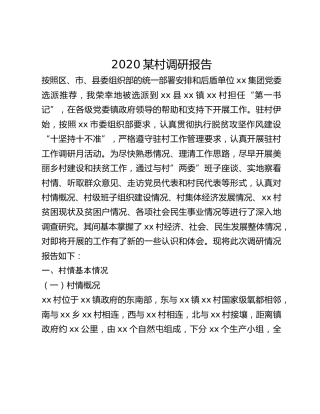 2020某村调研报告