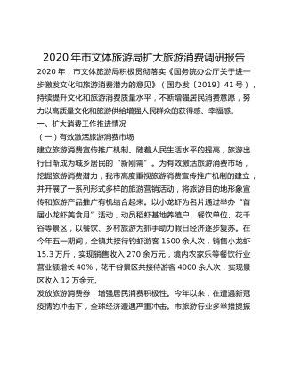 2020年市文体旅游局扩大旅游消费调研报告