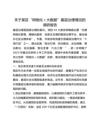 关于某区“网格化大数据”基层治理情况的调研报告
