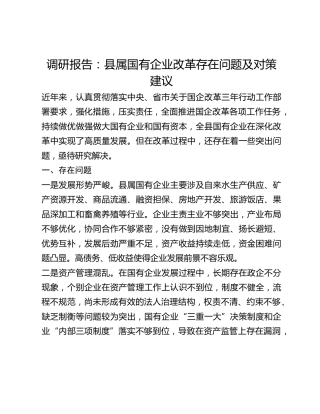 调研报告：县属国有企业改革存在问题及对策建议(1)