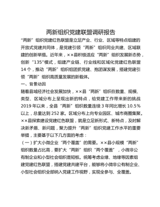 两新组织党建联盟调研报告(1)