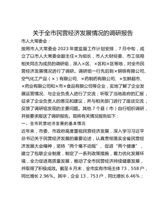 关于全市民营经济发展情况的调研报告(1)