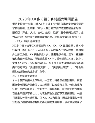 2023年XX乡(镇)乡村振兴调研报告