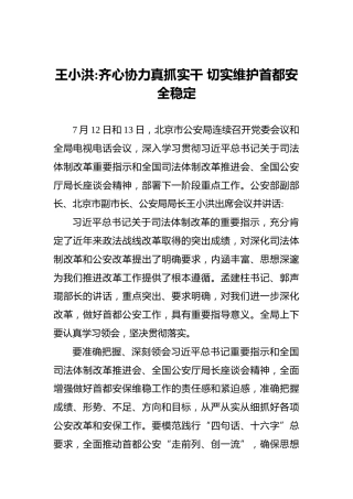 王小洪：齐心协力真抓实干切实维护首都安全稳定