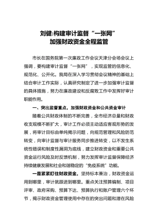 刘健：构建审计监督“一张网”