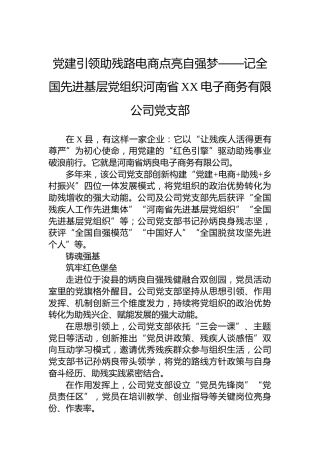党建引领助残路电商点亮自强梦——记全国先进基层党组织河南省XX电子商务有限公司党支部